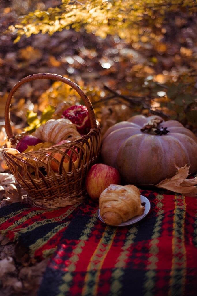 picnic, basket, pumpkin, park, fall, autumn, nature, food, garden, croissant, apple, picnic basket